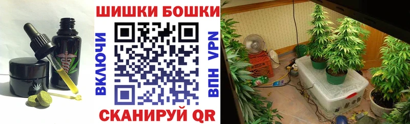 Cannafood конопля  Купить  Сковородино 