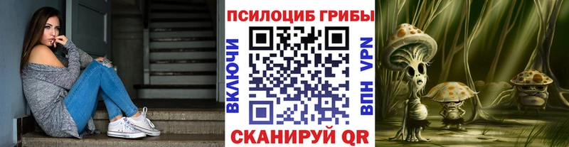 Купить Сковородино Псилоцибиновые грибы Cubensis